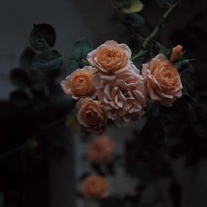 扒开女人内裤猛进猛出流出白液视频
