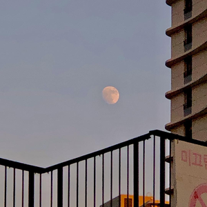 扒开女人内裤猛进猛出流出白液视频
