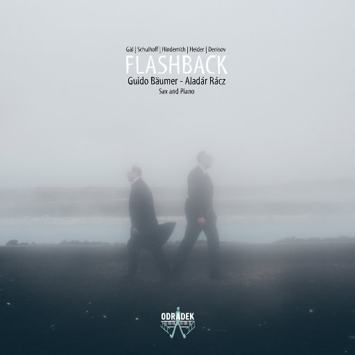 扒开女人内裤猛进猛出流出白液视频
